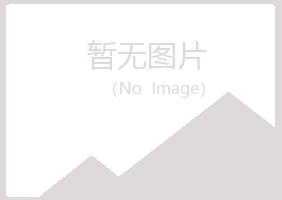 沙坪坝区夏岚美容有限公司